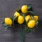 Artificial Lemon Bushes by Ashland®